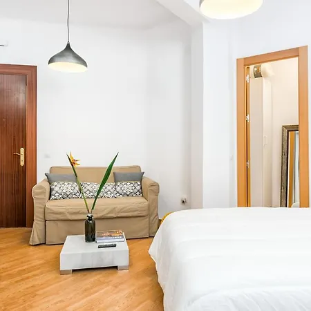 Apartment Bolsa Larios *
